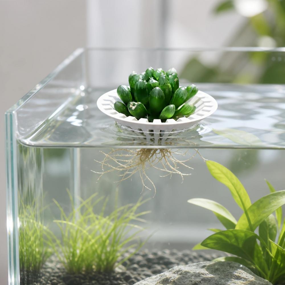 Planted Aquarium Aquascape - Aquarium Hydroponic Planter 3d Printed Floating