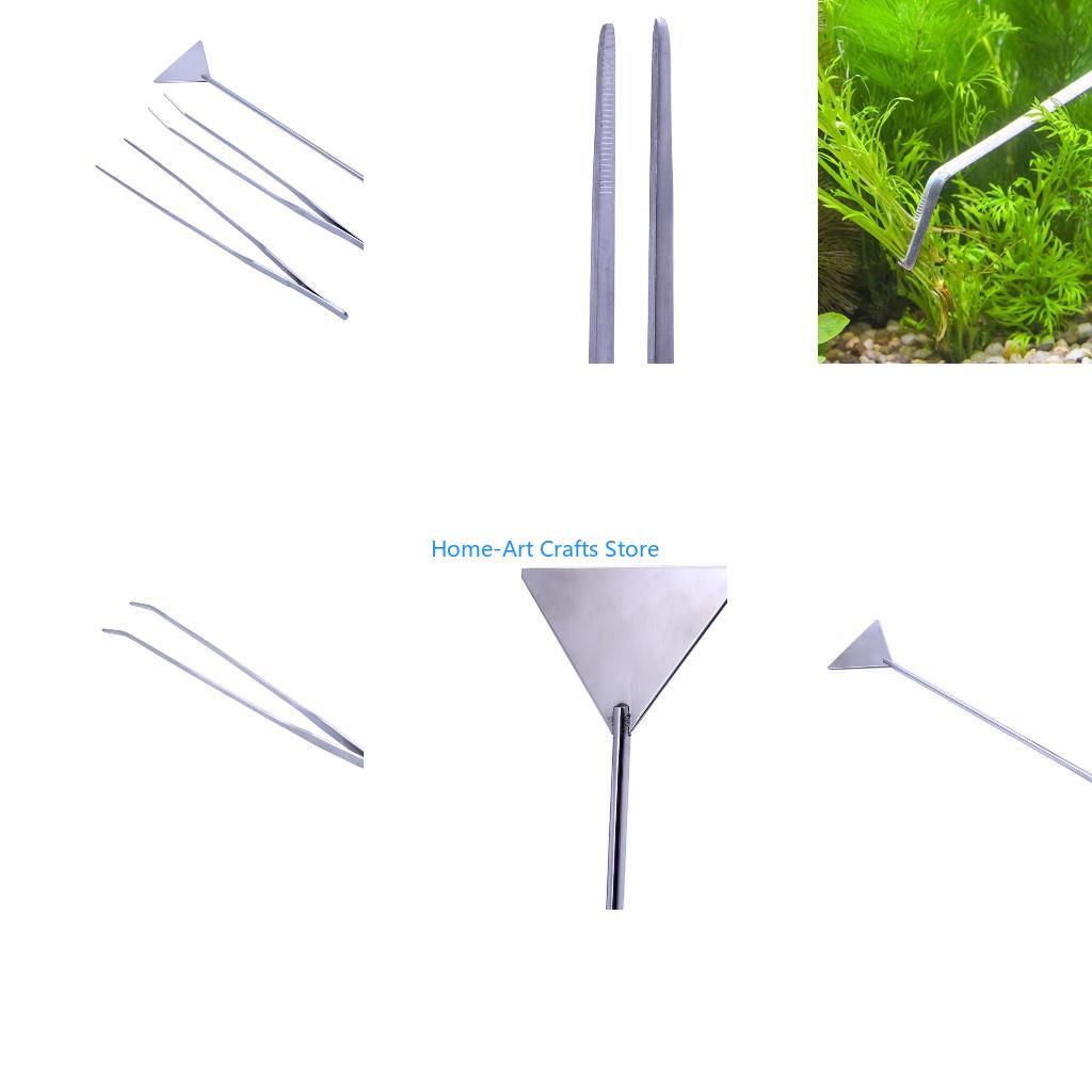 Planted Aquarium Aquascape - Y3NA 3 Miếng Bể Cá Bộ