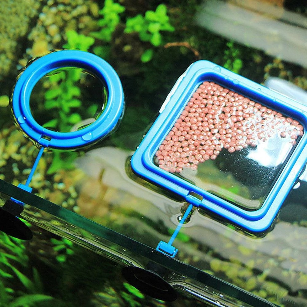 New Aquarium Feeding Ring Fish - đánh giá và giá Aquarium Plant Nutrients