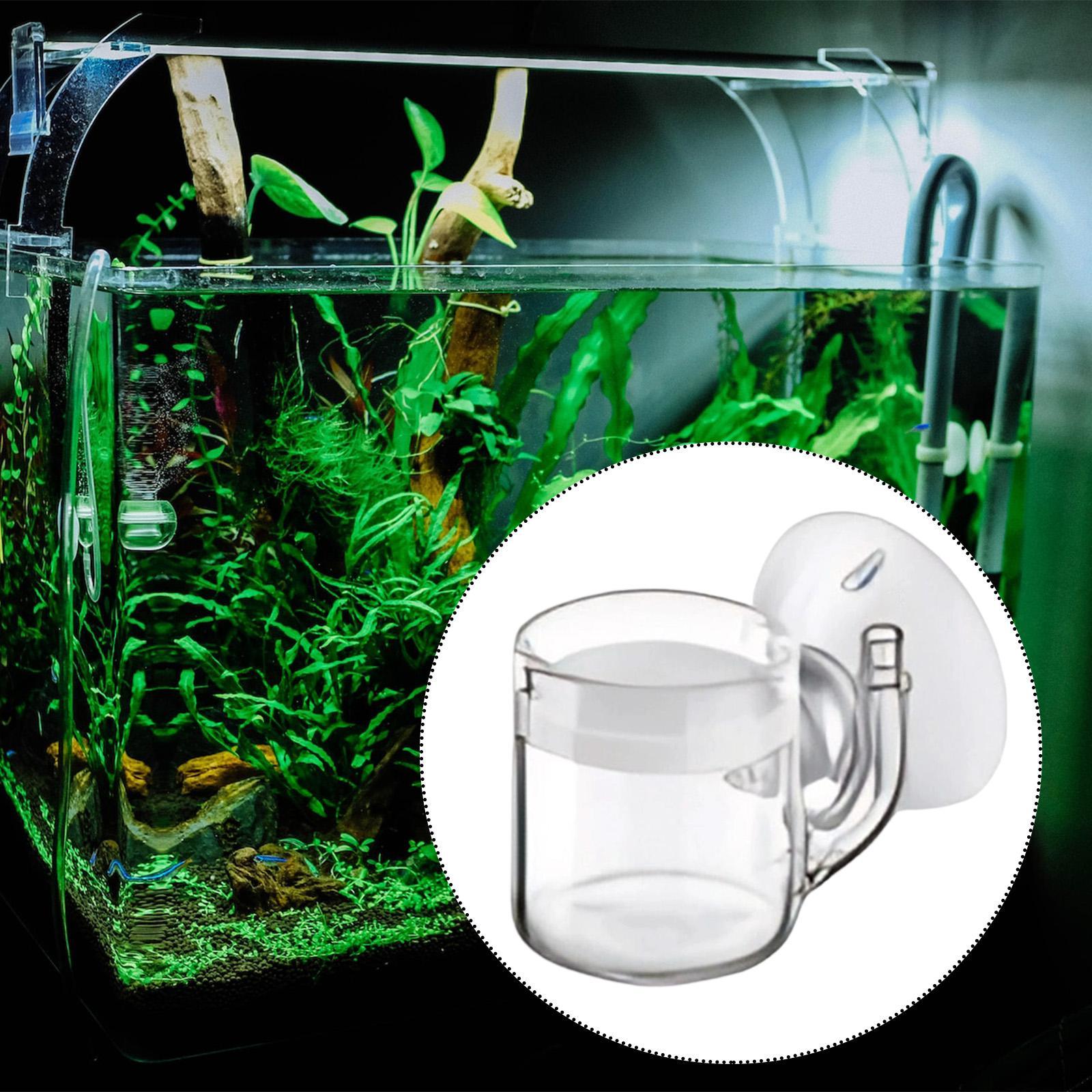 CO2 Aquarium Diffuser Glass Ma - đánh giá và giá Aquarium Planted Tank Setup