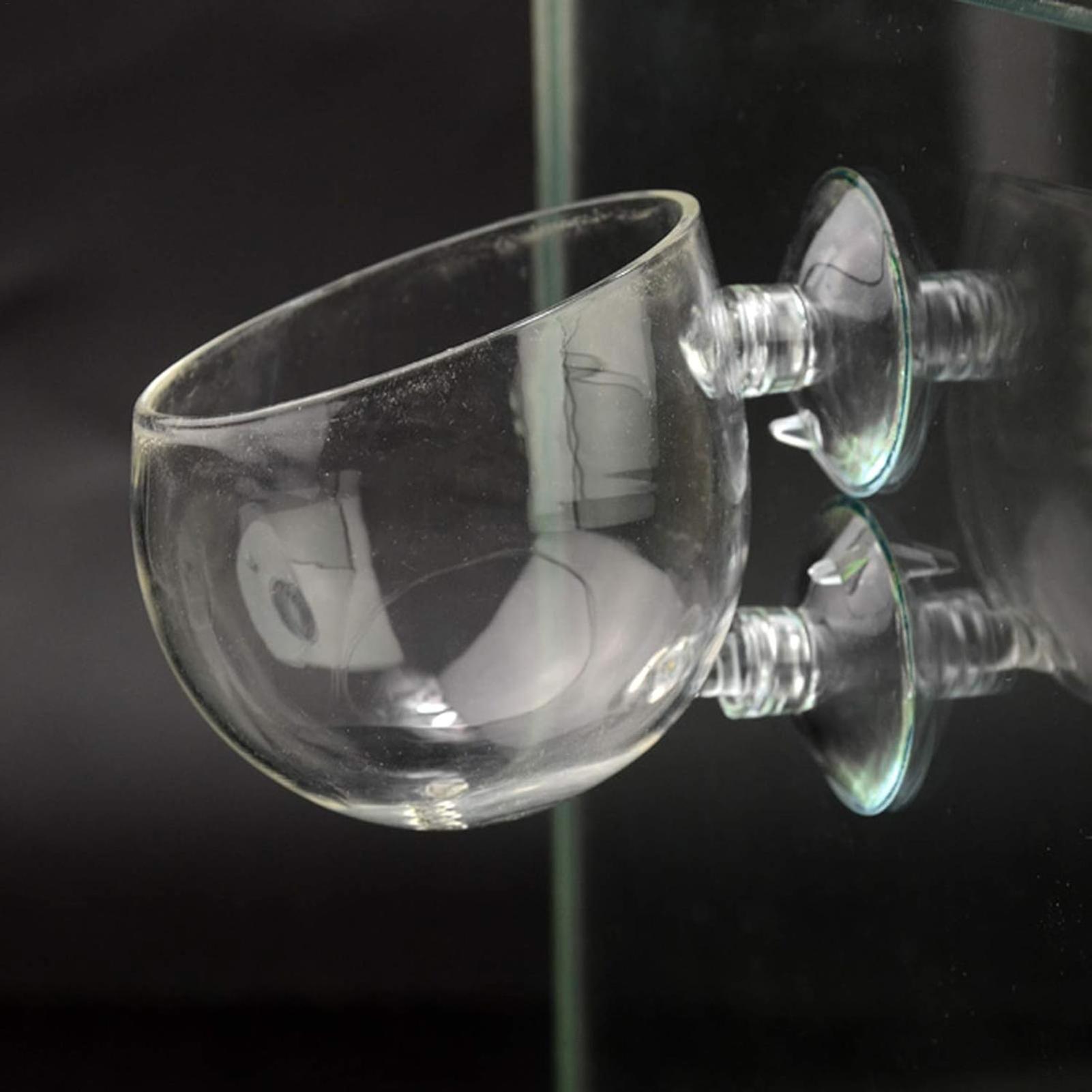Aquarium Plant Holder Glass Aq - đánh giá và giá Planted Aquarium Aquascape