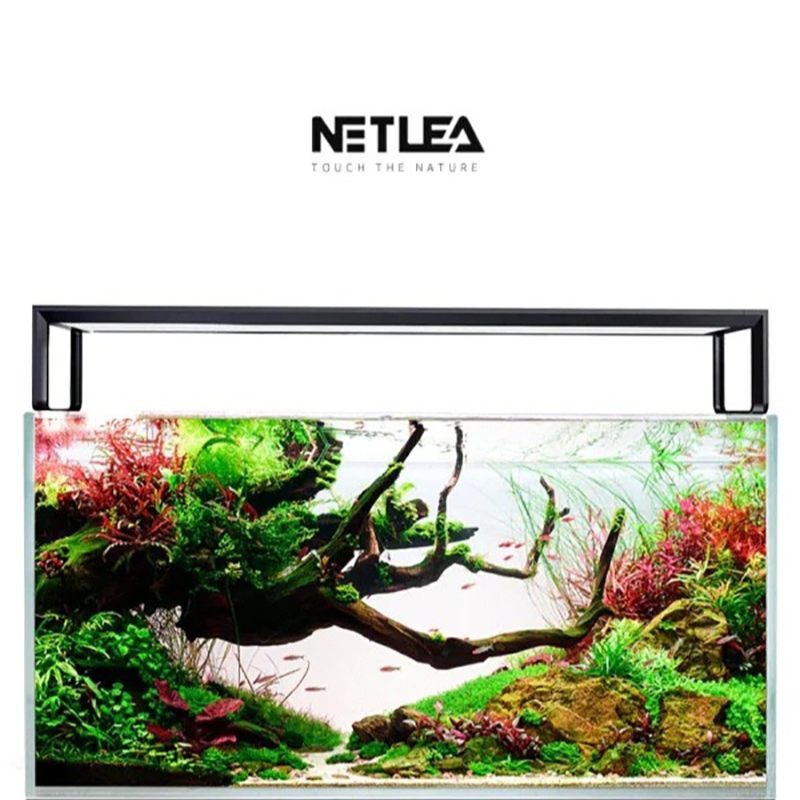 Netlea AT5S V4 Smart Wifi APP  - đánh giá và giá Planted Aquarium Aquascape