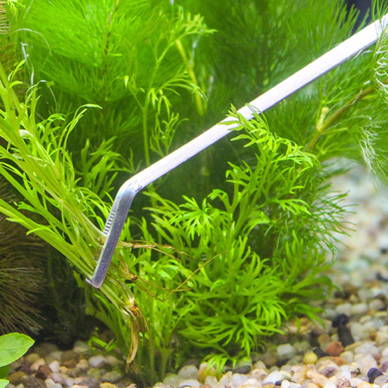 Professional Aquarium Maintena - đánh giá và giá Planted Aquarium Maintenance Kit