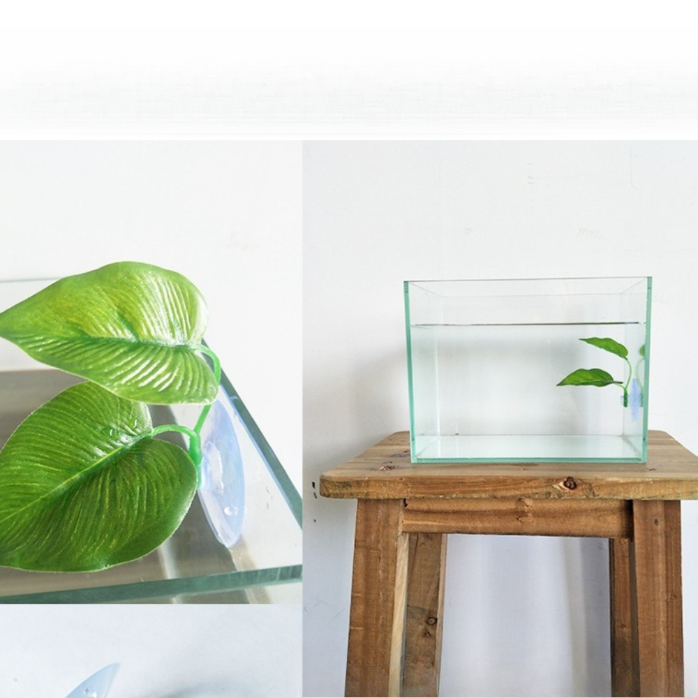 1/3/5/10 Betta Aquarium Artifi - đánh giá và giá Aquarium Planted Tank Setup