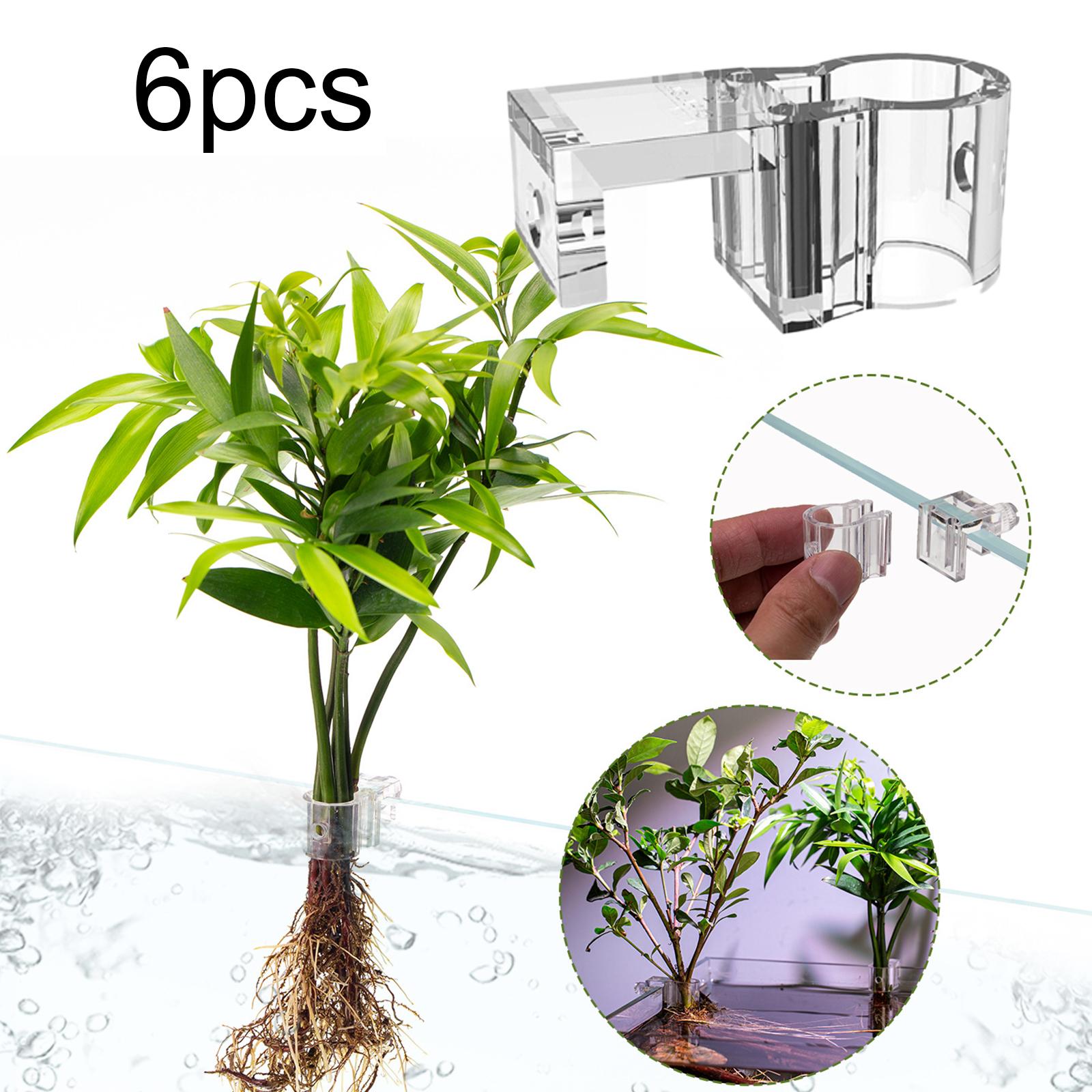 6Pcs Aquarium Plant Holder Sup - đánh giá và giá Planted Aquarium Aquascape