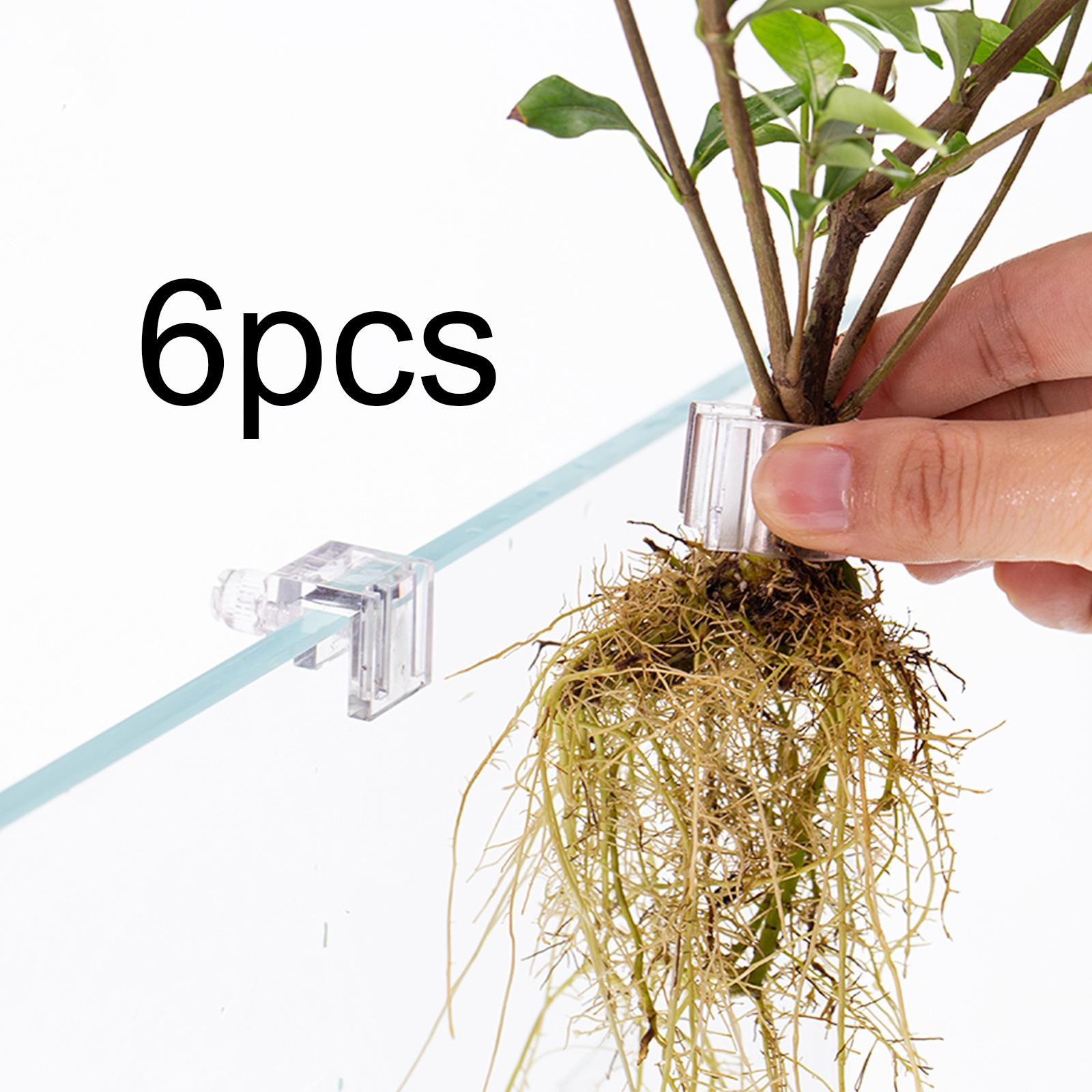 6Pcs Aquarium Plant Holder Sup - đánh giá và giá Planted Aquarium Aquascape