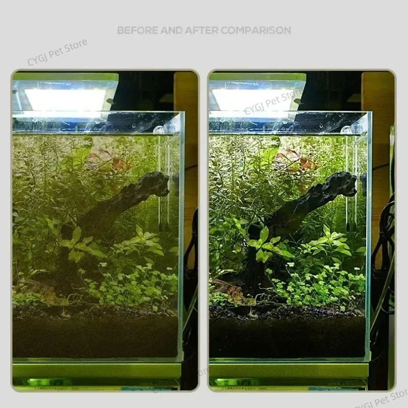 Fish Tank Cleaning Tool Flat S - đánh giá và giá Planted Aquarium Maintenance Kit