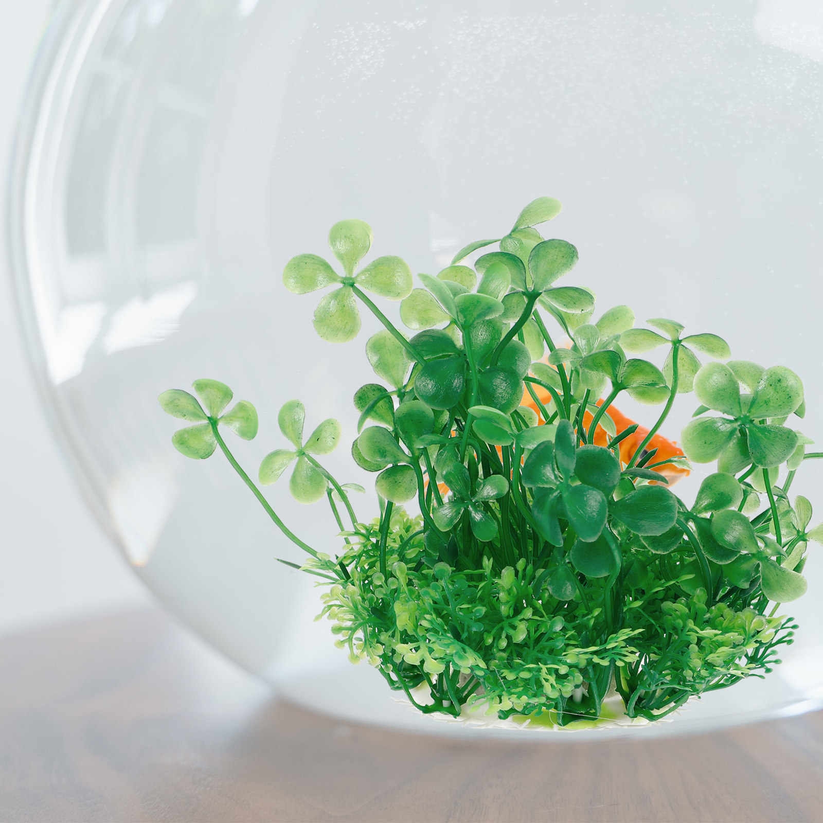 Exquisite Workmanship Plastic  - đánh giá và giá Aquarium Planted Tank Setup