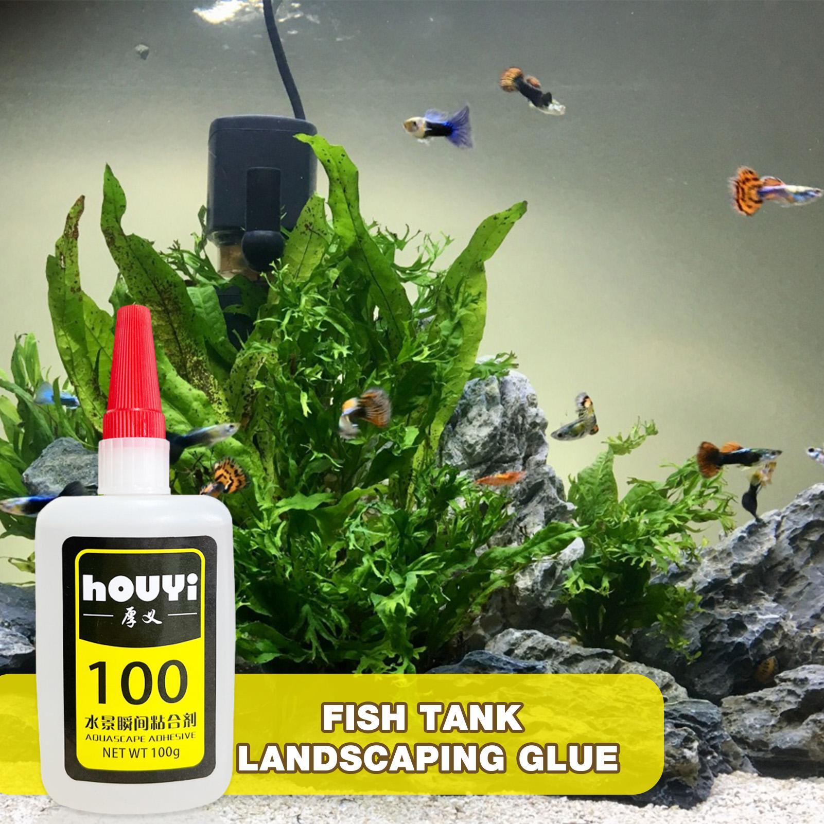 50/100g Clear Instant Glue Aqu - đánh giá và giá Planted Aquarium Aquascape