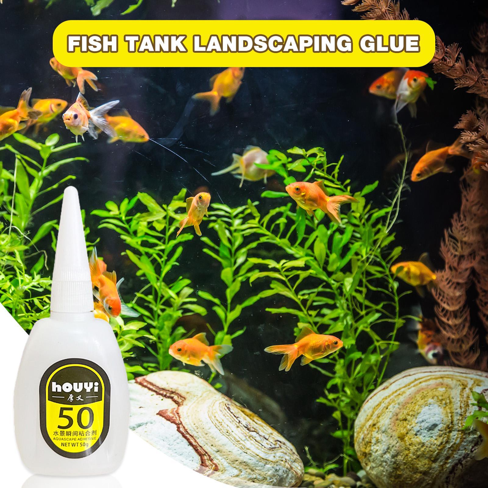 50/100g Clear Instant Glue Aqu - đánh giá và giá Planted Aquarium Aquascape