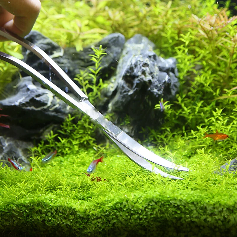 Aquarium Scissor Tools Fish Ta - đánh giá và giá Planted Aquarium Maintenance Kit
