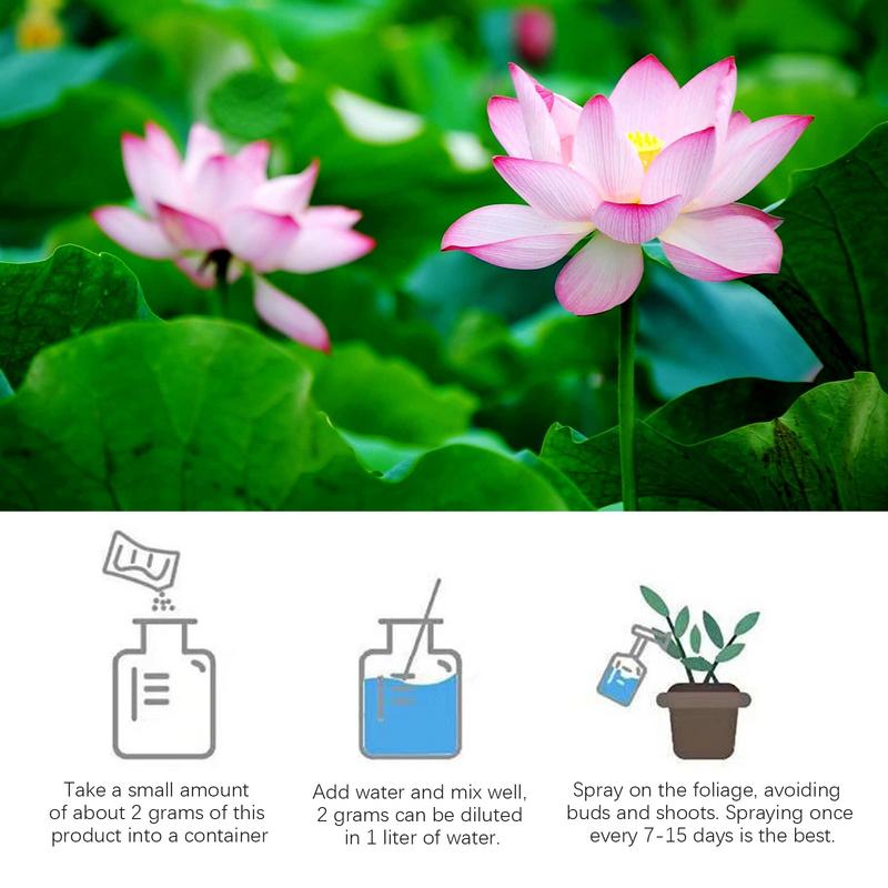 200g Natural Water Lily Flower - đánh giá và giá Aquarium Plant Nutrients