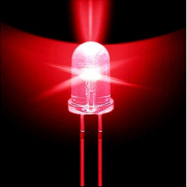 100 Chiếc WAVGAT 5Mm Tròn Đỏ S - đánh giá và giá Ludwigia Super Red