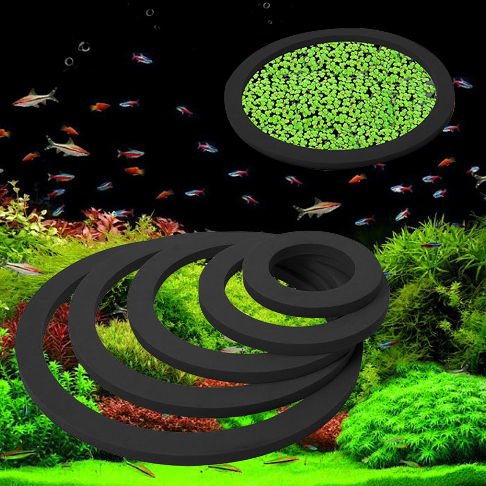 Aquarium Floating Plant Ring E - đánh giá và giá Aquarium Plant Nutrients