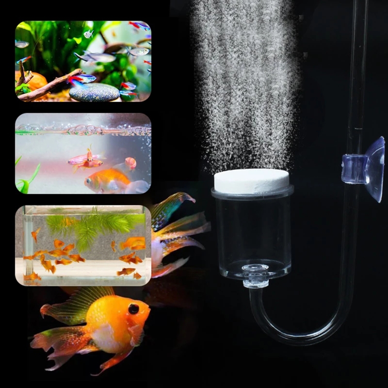 4pcs Set DIY CO2 Diffuser For  - đánh giá và giá Planted Aquarium Aquascape