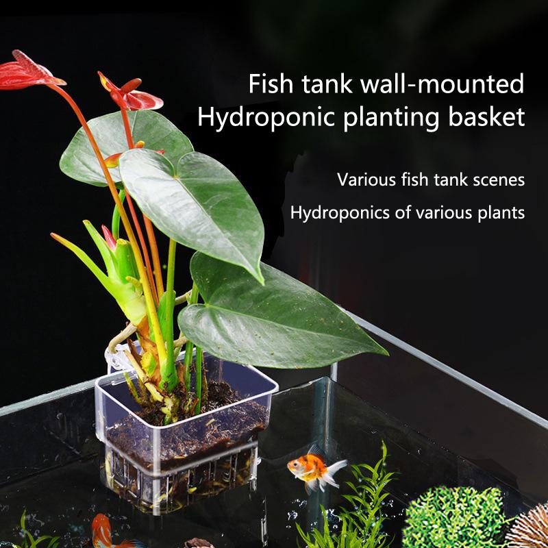 Aquarium Hydroponic Planting C - đánh giá và giá Aquarium Planted Tank Setup
