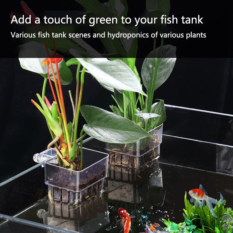 Aquarium Hydroponic Planting C - đánh giá và giá Aquarium Planted Tank Setup