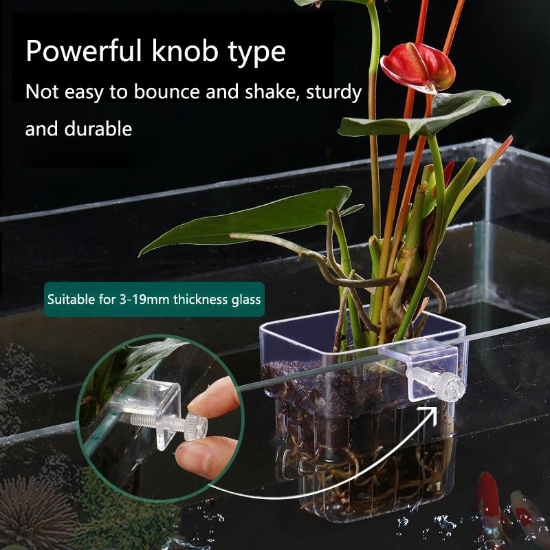 Aquarium Hydroponic Planting C - đánh giá và giá Aquarium Planted Tank Setup