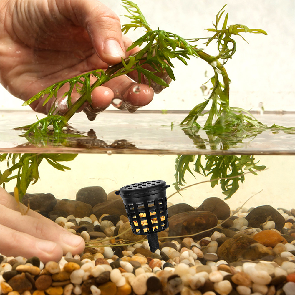 120Pcs Fertilizer Basket Lid P - đánh giá và giá Aquarium Plant Nutrients