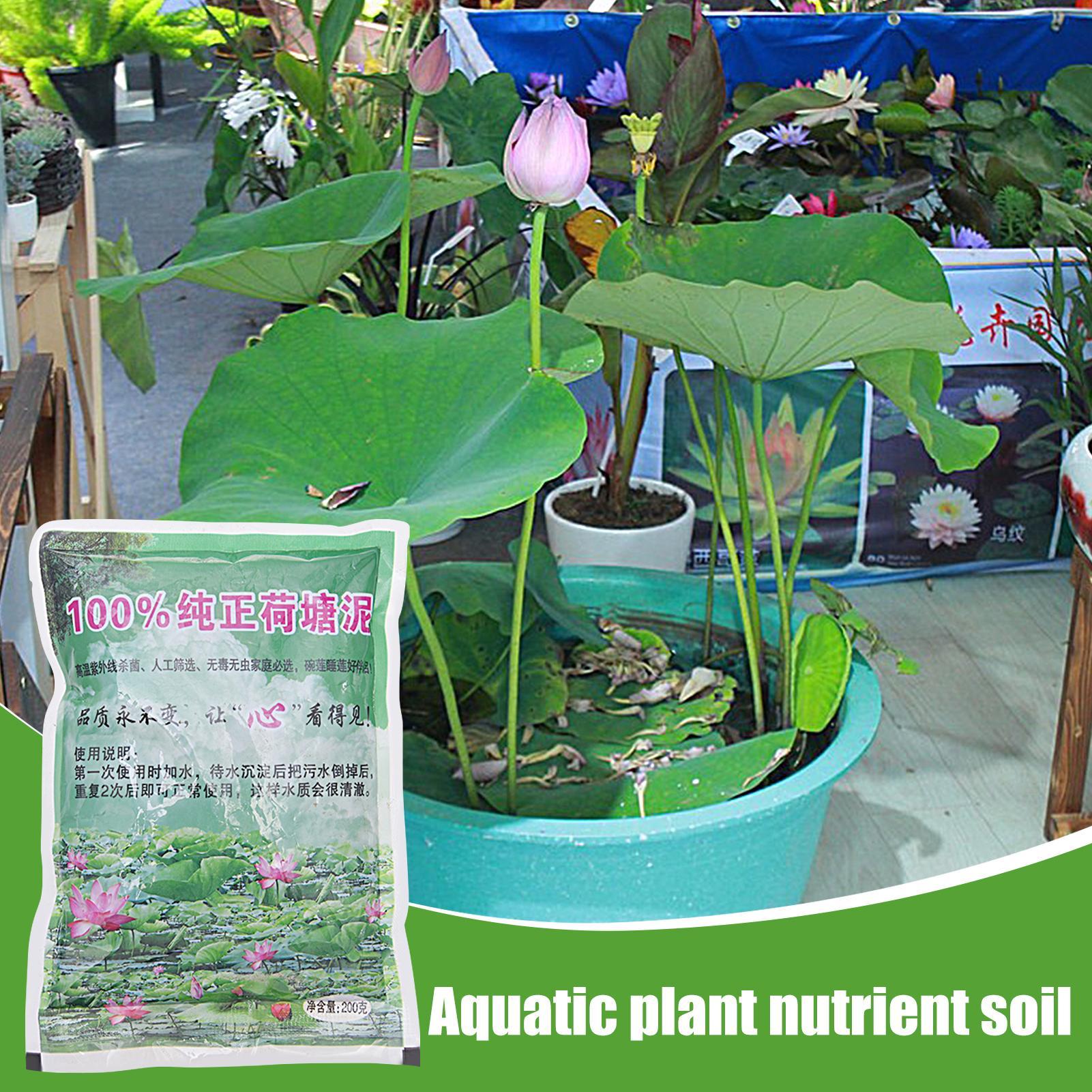Aquatic Pond Nutrition Clay So - đánh giá và giá Aquarium Plant Nutrients