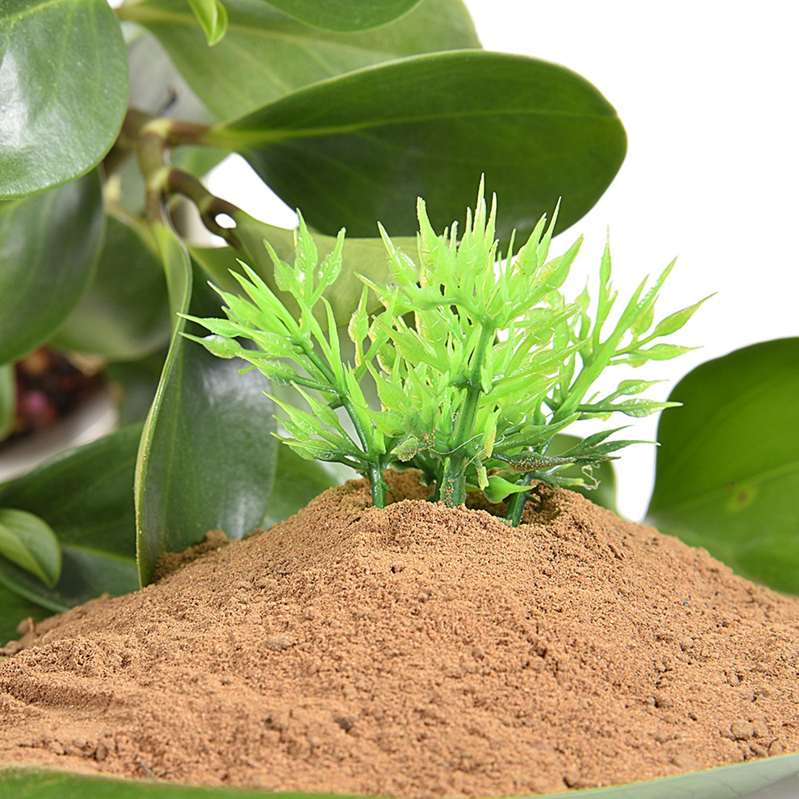 Aquatic Pond Nutrition Clay So - đánh giá và giá Aquarium Plant Nutrients
