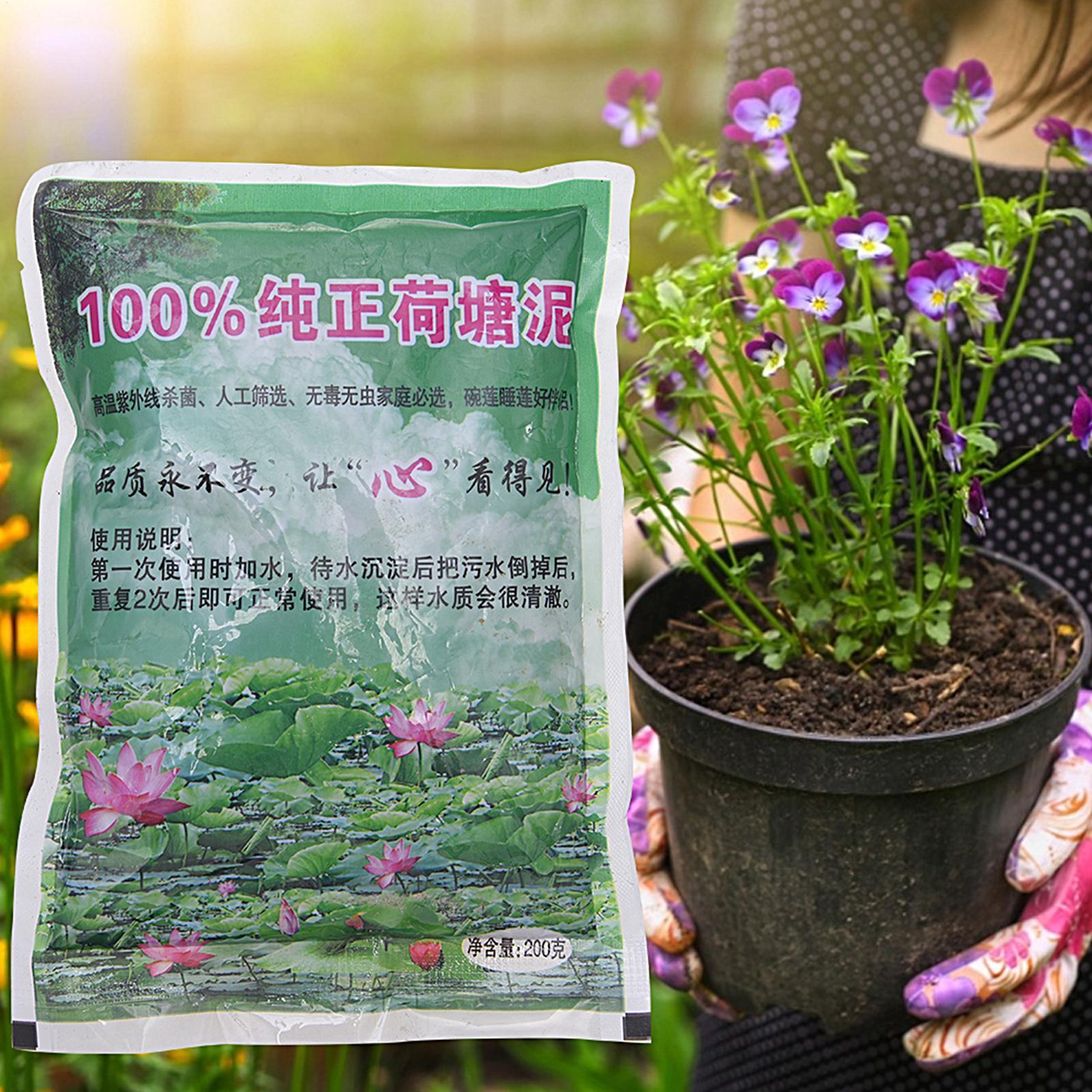 Aquatic Pond Nutrition Clay So - đánh giá và giá Aquarium Plant Nutrients